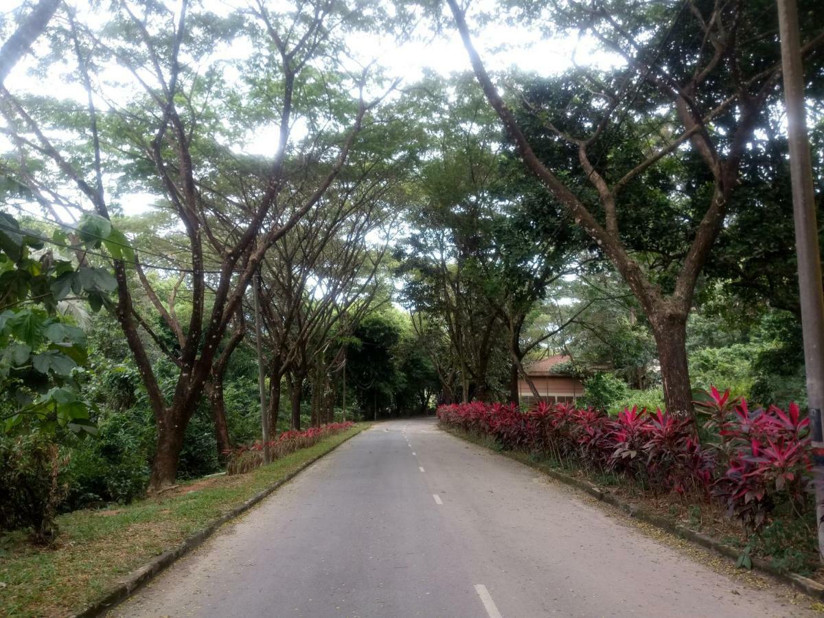 Janaview Taiping Hotel Ngoại thất bức ảnh